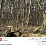 Leica LUX